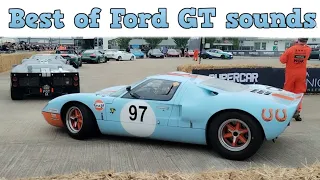 Best of Ford GT Sounds ( Revs, idles, flybys ) Supercarfest 2024!