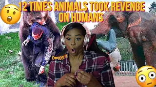 Facts Junkie - 12 Times Animals Took Revenge On Humans {Reaction} | ImStillAsia