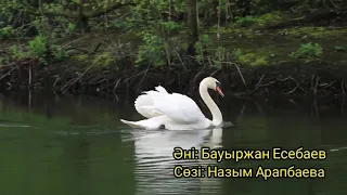 Аққуым - Досымжан Таңатаров