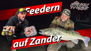 Zanderangeln im Fluss mit Fischfetzen + Futterkorb Montage + Überraschung auf der Sandbank 🦌 ;-)