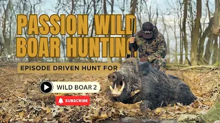 Passion Wild Boar Hunting Episode Driven Hunt for Wild Boar 2