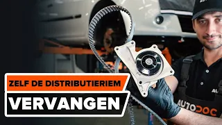 Hoe een distributieriem set en waterpomp vervangen op een RENAULT CLIO 3 [HANDLEIDING AUTODOC]