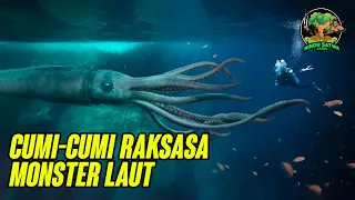 Cumi-Cumi Raksasa, Monster Laut Dalam