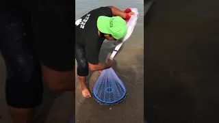 Most Satisfying Cast Net Fishing Video| Tik Tok Fishing Videos