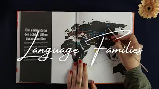 ASMR The 8 Biggest Language Families in the World (soft spoken, map tracing, educational ASMR)