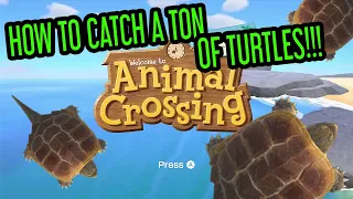 How to catch turtles in Animal Crossing New Horizons, TONS of turtles