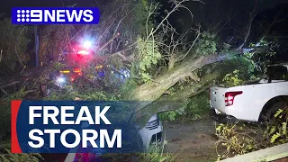 Freak storm rips through south-west Sydney suburb | 9 News Australia