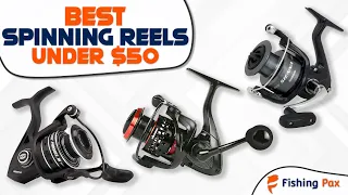 Best Spinning Reels Under $50