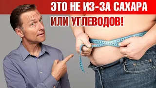 Не можете избавиться от жира на животе? Есть главная причина😲