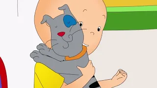 ★ Caillou and Gilbert ★ Funny Animated Caillou | Cartoons for kids | Caillou