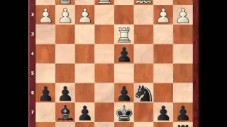 Online chess - Naiditsch Arkadij vs Anand viswanathan Grenke chess  classic 2013