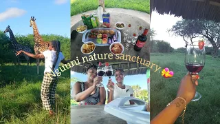 PICNIC  WITH GIRAFFES ! 😲🖼🌼 | SIP + PAINT +  SUNDOWER AT NGUUNI NATURE SANCTUARY 🍷😍 | ANIMAL PARK 🦓🦙