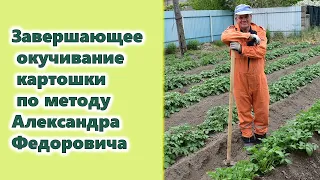 Завершающее окучивание картошки по методу Александра Федоровича