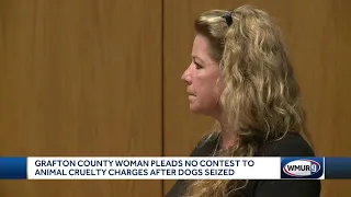 Animal cruelty plea deal frees dogs for adoption