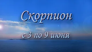 Скорпион Таро прогноз на неделю с 3 по 9 июня 2024 года.