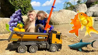 Bim Bim helps dad go fishing with baby monkey Obi