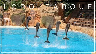 Loro Parque, Tenerife, August 2023