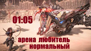 Horizon Запретный Запад Арена любитель нормальный01:05