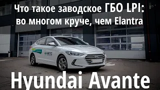 Неожиданно крутая тачка для каждого дня: Hyundai Avante LPi с заводским ГБО... совсем не Elantra
