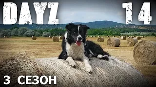 DayZ 3 - 14 - Собака на сене