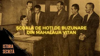 ȘCOALA DE HOȚI DE BUZUNARE DIN MAHALAUA VITAN