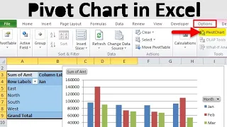 PIVOT CHARTS IN MS EXCEL