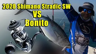 2020 Shimano Stradic sw VS Bonito  - Offshore fishing in qatar