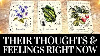 🌟💖 THEIR  EXACT THOUGHTS & FEELINGS About YOU Right NOW! 🌟💖 PICK A CARD Timeless Love Tarot Reading