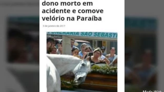 Cavalo se despede do seu ex dono no velório.