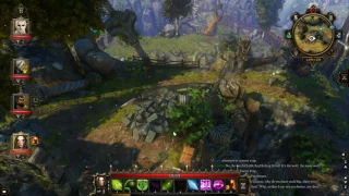 Divinity Original Sin EE: Removing Barrier on White Witch Cabin