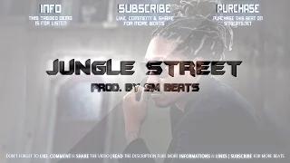 Future Type Beat 2016 Jungle Street Prod  By. Sm Beats [OFFICIEL VIDEO]