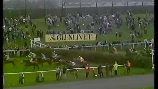 Grand National 1988