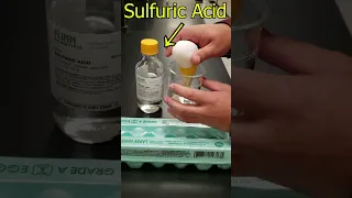 Why Safety Goggles are Important (Egg in Sulfuric Acid Demonstration)