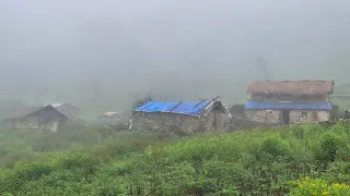 Himalayan Village Life | Nepal | Most Peaceful And Very Relaxing Life into the Rain | RealNepalilife
