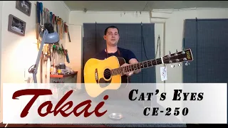 Tokai Cat's Eyes CE-250 , обзор гитары