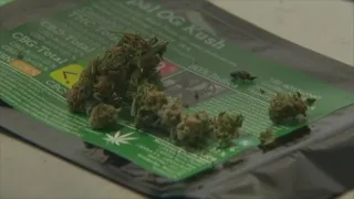 Could Fresno medical marijuana market boom?