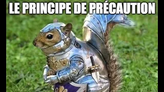 Le principe de précaution