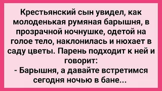 Крестьянский Сын Позвал Барскую Дочь Ночью в Баню! Сборник Свежих Смешных Жизненных Анекдотов!