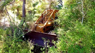 Cat D2 Bulldozer broke down in a forest 13 years ago. Can we save it?