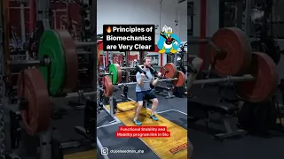 STOP Squatting Like Donald DUCK!!! Zercher Squat & Safety Bar Squat Combo