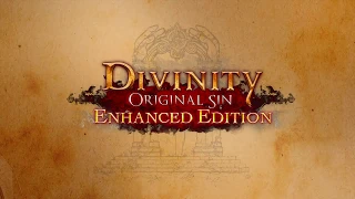 Divinity: Original Sin Enhanced Edition - Void Dragon (Again)