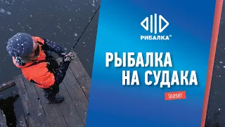 Ловля судака. Красивое видео // Телеканал "Рыбалка"