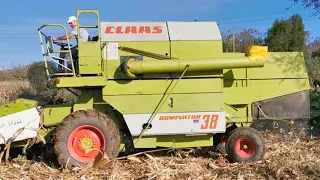 Claas Dominator 38 Colheita Milho 2019