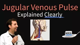 Jugular Venous Pulse (JVP) Explained Clearly - Evaluation, Waveforms, Interpretation