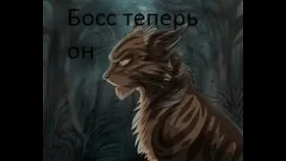 Cat Warrior Босс теперь он(Звездоцап)