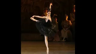 [Ballet] It is too terrible high technique! Black-bird that is too magical [Swan lake]