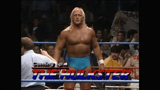 The perfect match - Hulk Hogan vs. Terry Funk: Bryan and Vinny Show