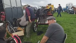 Puck fair horse fayre. 2023