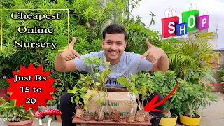 Cheapest Online Plants Nursery||Santhi Online Plant Nursery||सबसे सस्ते पौधों की नर्सरी।