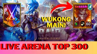 Raid Shadow Legend Live Arena Top 300!